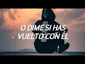 Hector El Father - Sola (lyrics video)