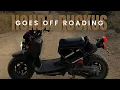 Honda Ruckus The Ultimate Off-Road Scooter