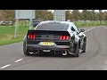 Download Lagu BEST OF FORD MUSTANG SOUNDS! Shelby GT500, Alphamale Widebody, GT350, RTR Widebody, Royal Crimson GT