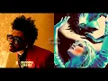 Can't Tame Her Blinding Lights (The Weeknd x Zara Larsson Mashup) | Samuel's Mashups