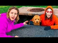 A Creepy Stranger is Trying to STEAL MY DOG