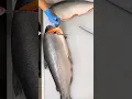 Download Lagu Cutting Whole Fresh Salmon Fish Fillet#shorts