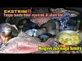Download Lagu EKSTRIM‼️Tanpa tenda tidur nyenyak di alam liar | camp fish sungai Sumatra 