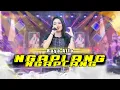Download Lagu NGAPLANG NGAPLANG VOC. RAYA AILA | LIVE MUSIC GANJENE PANTURA
