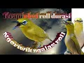 Download Lagu Terapi pleci roll durasi langsung nyaut