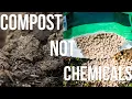 Your Plants Don t Need Chemical Fertilizers They Need This
