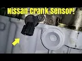 Nissan Altima Nissan Maxima Crankshaft Position Sensor Location