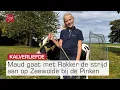 Download Lagu Almeerse Maud doet mee aan Zeewolde bij de Pinken | Omroep Flevoland Download Lagu Almeerse Maud doet mee aan Zeewolde bij de Pinken | Omroep Flevoland
