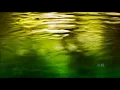 水鏡　/　鈴木 一平