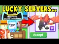 Joining 1 Player Servers in Adopt Me and This Happened