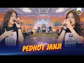 Download Lagu SELAAMOR - PEDHOT JANJI ( Official Live Video Royal Music )