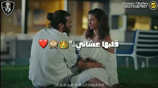 حالات واتس مهرجانات حمو بيكا        مهرجان كارثة   نور التوت     جاحده انتي اجمد واحده   دندنها