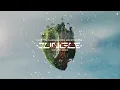 Alok, The Chainsmokers & Mae Stephens - Jungle (Satyjeet Remix)