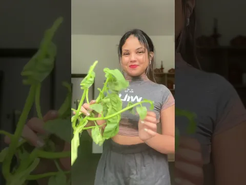 පරිප්පු බිත්තර කරිය🥰 ආය වෙන මොකුත් ඕනේ නෑ Parippu Curry | Sri Lankan Dhal Curry #foodie #bandifull