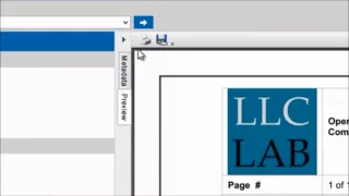Annotations and Redlining Document Management System