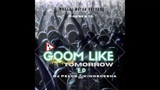 drum u0026 bass dj pelco u0026 kingshesha ft dankie goodness