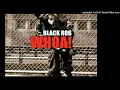 Black Rob Feat. Rah Digga, Lil Cease, G-Dep, Da Brat, Beanie Sigel, Petey Pablo, And The Madd