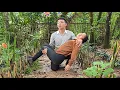 Download Lagu single mother (tieu ly) is in danger, luckily CEO Jack found and saved her