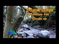pelatuk sampit masteran ampuh dan terapy suara air..