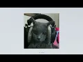 Ezhel - Bul Beni (Speed up)