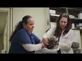 Why this Hospital Manager has stayed with VCA for over 15 years Clip