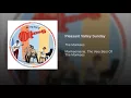 Pleasant Valley Sunday (Single Version)