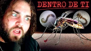 O que acontece quando um mosquito te pica é perturbador...