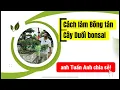 Download Lagu Chia sẻ Quý về cách làm Bông tán cây Duối bonsai của anh Tuấn Anh 🍀#bonsai #caycanhbonsai #caycanh 