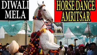 horse dancing to the rhythm of dhol only in india