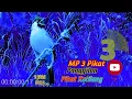 Download Lagu Mp3 Panggilan PIKAT BURUNG KUTILANG 1 JAM FULL||@gepengcoy