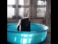 حيدر يا روحي