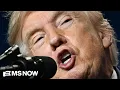 Such a joke McCaskill CALLS OUT Trump s election fraud lies