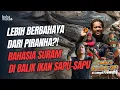 Lagu MONSTER AMAZON! Rahasia Gelap Ikan Sapu-sapu yang Merusak Ekosistem Indonesia