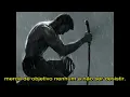 A Vida após o divórcio - Coterie