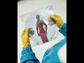Tyler, The Creator - Ring Ring Ring [Extended Intro]