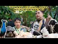 Download Lagu IGUN MAU PELIHARA DOMBA KAYA IRFAN HAKIM ?!
