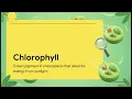 Class 6 G Science Chapter 1 The Chloroplast Explained
