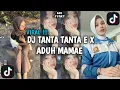 Download Lagu DJ TANTA TANTA E X ADUH MAMAE ADA COWOK BAJU HITAM VIRAL TIK TOK TERBARU