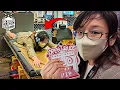 Download Lagu I Harassed (Interviewed) A Bunch Of Mad Scientists at Open Sauce