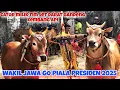 Download Lagu SATU SATUNYA SAPI JAWA YANG AKAN BERLAGA DI PIALA PRESIDEN 2025 || JUARA DI KABUPATENAN SUMENEP 🔥🔥