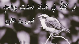 لو كان لي قلبـان لعشت بواحد قيس بن الملوح 