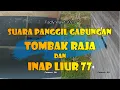 Download Lagu Suara Panggil Gabungan Tombak Raja dan Inap liur 77