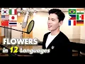 Download Lagu 'Flowers'(Miley Cyrus) in 12 Different Languages | Multi-Language Cover by Travys Kim