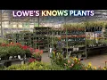 Lowe s Garden Center PACKED New Weekend Plants Are In