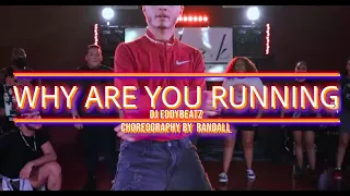 why are you running dj eddybeatz tribe official kingditochoreography