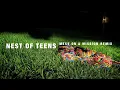 Liars - Mess On A Mission (Nest Of Teens Remix)
