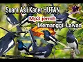 Download Lagu 🛑KACER Susah Turun..Coba Pakai Mp3 Ini..‼️