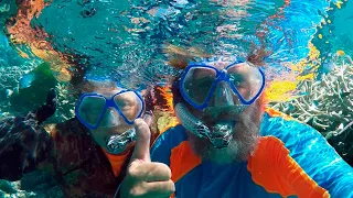 Ep 228 | The Great Barrier Reef, Beauty and Wonder, Sailing Nutshell