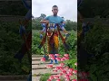 Download Lagu 🙏🏻Adharam Madhuram nayanam🙏🏻#shorts #jai shree Krishna#shortvideo#viralvideo✅