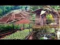 FULL VIDEO membuat bangku santai, menanam, panen, berkebun di gunung